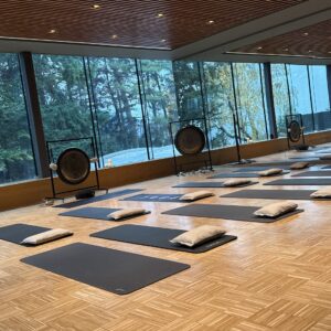 Power Yoga - Spine Mobility & Posture, 22 noiembrie ora 9:30